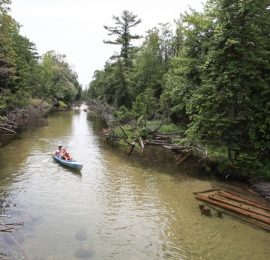 kayak + canoe trips – crystal river outfitters