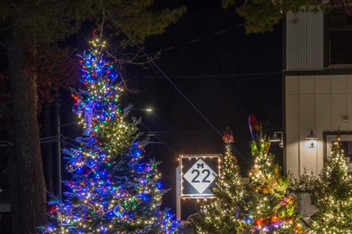 Christmas trees decorated with colorful lights near a sign reading 'M 22' at night.