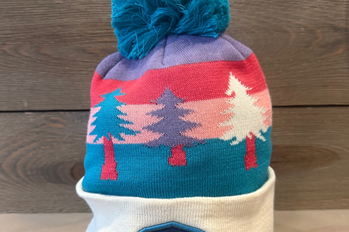 Colorful beanie with trees and 'Take a Hike' patch on wood background.
