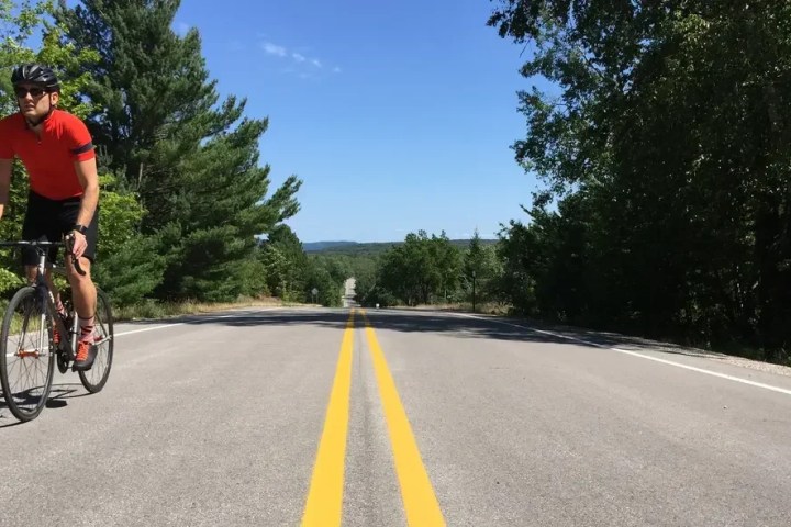 Cyclist in red shirt riding on a road with yellow lines, trees on sides.